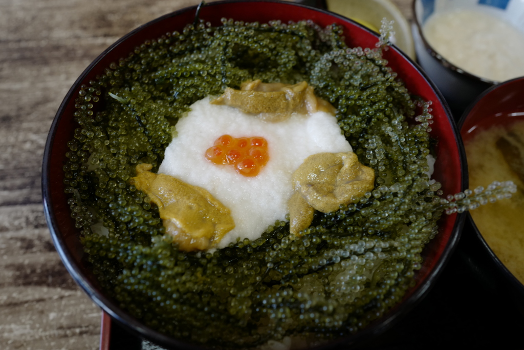 海ぶどう丼