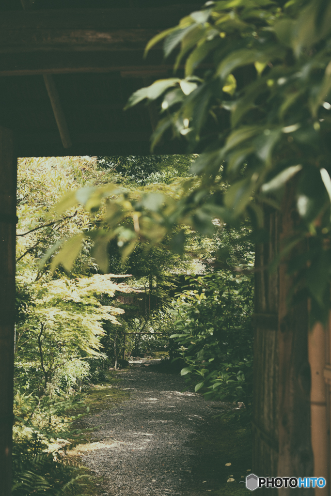 緑の通路