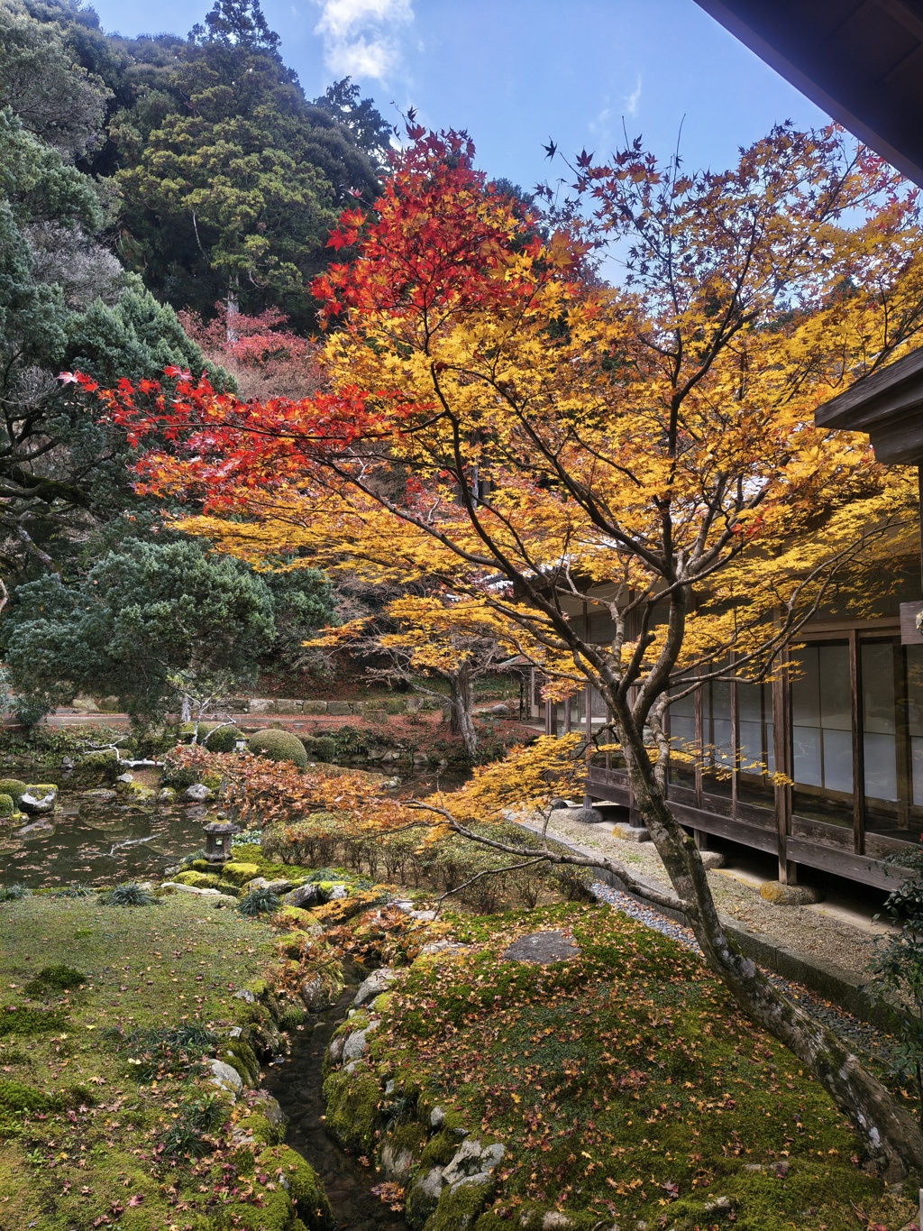 雷山千如寺の紅葉