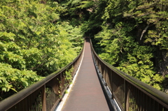 みたらい渓谷へ続く橋