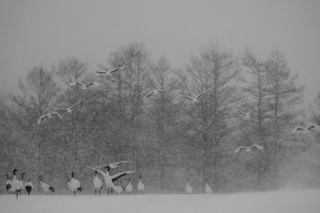雪景色