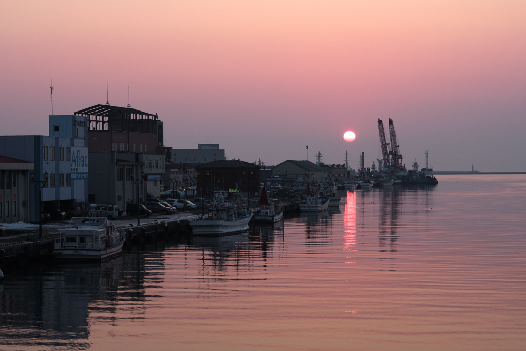 桜色夕景