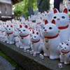 猫猫猫猫猫猫猫猫