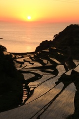 夕陽の棚田