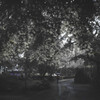 another dimension - 9