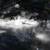 狭霧 - 6