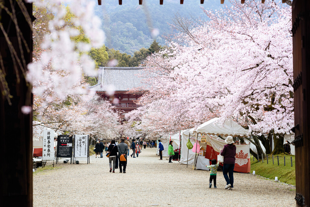 Daigoji - 1