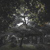 another dimension - 8