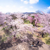 大喝采