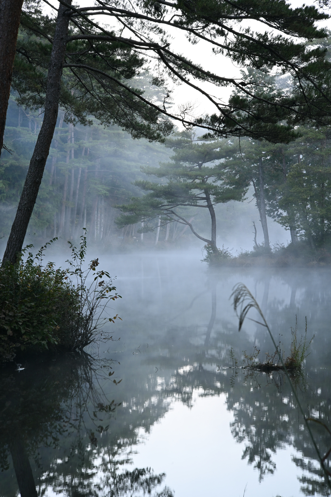 狭霧 - 1
