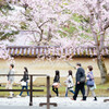 Daigoji - 2