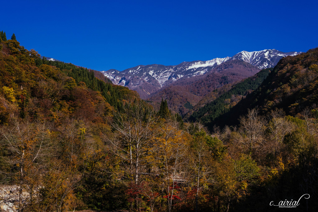 山の賑わいオールスターズ