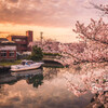 back to spring
