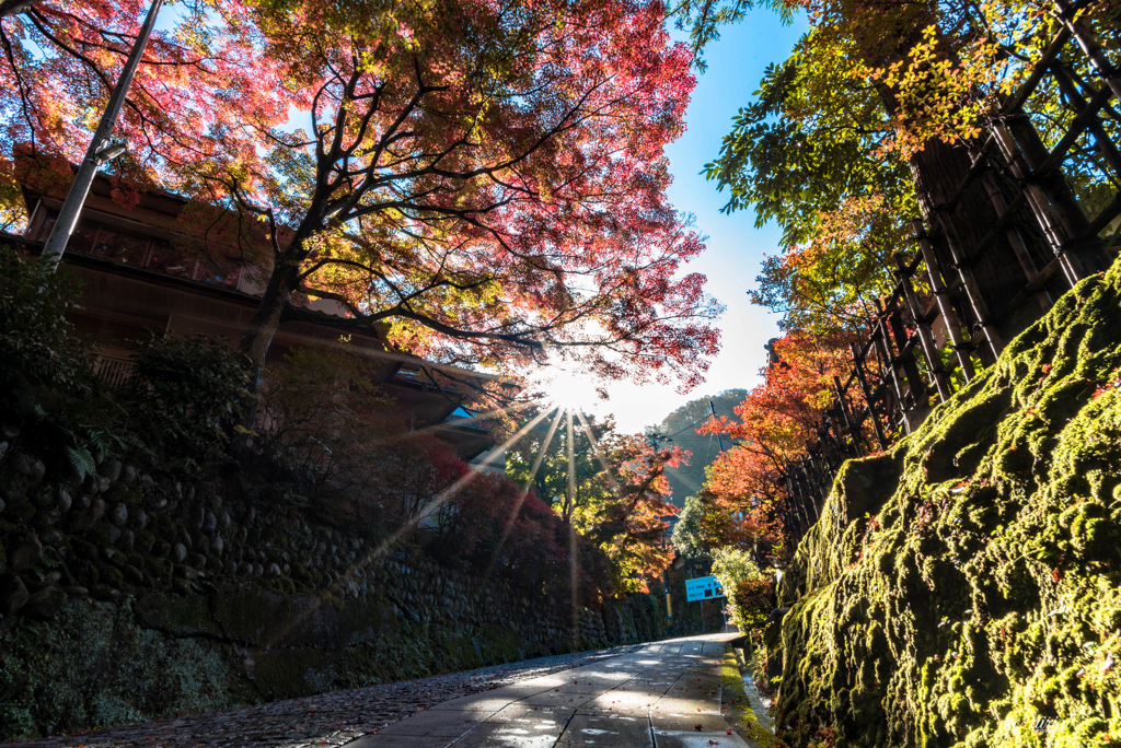 sunrise street