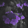 another dimension - 2