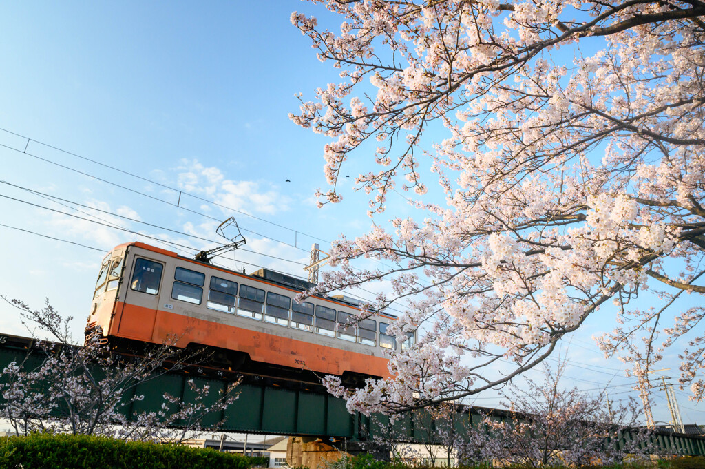 forward to spring