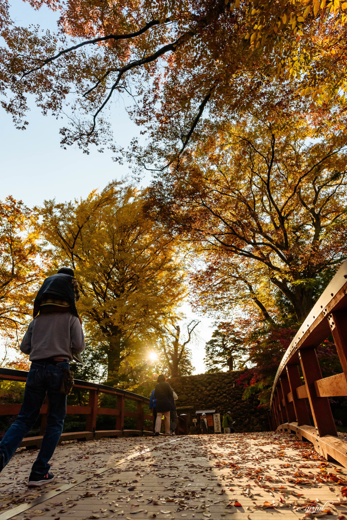 紅葉橋