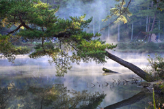 狭霧 - 4