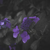 another dimension - 5