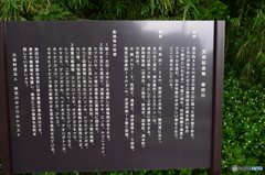 柿田川公園（柿田川湧水群）説明