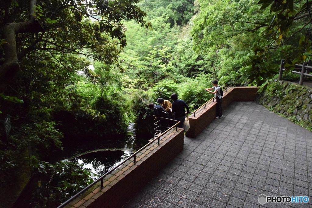 柿田川公園（柿田川湧水群）静岡県清水町　第二展望台の様子２