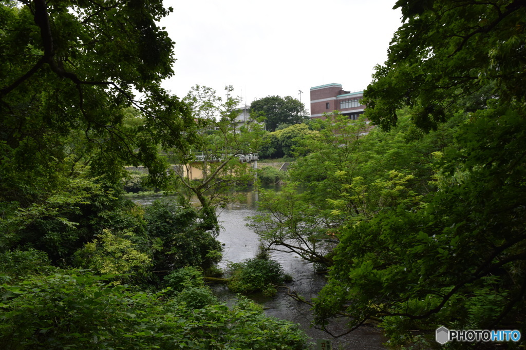 柿田川公園（柿田川湧水群）静岡県清水町水道施設