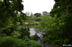 柿田川公園（柿田川湧水群）静岡県清水町水道施設