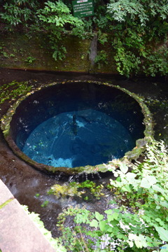 柿田川公園（柿田川湧水群）静岡県清水町　第二展望台からわき間全景