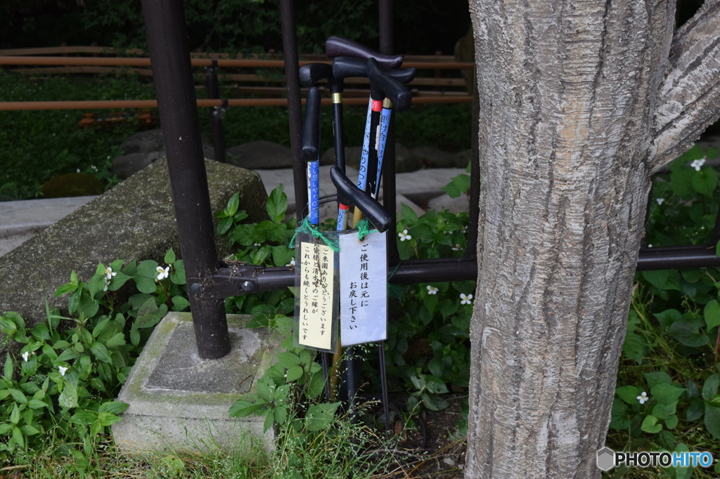 柿田川公園（柿田川湧水群）駐車場
