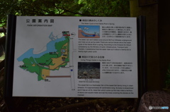 柿田川公園（柿田川湧水群）静岡県清水町　案内板３