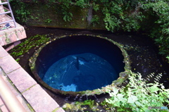 柿田川公園（柿田川湧水群）静岡県清水町　第二展望台からわき間