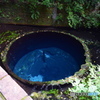 柿田川公園（柿田川湧水群）静岡県清水町　第二展望台からわき間