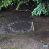 柿田川公園（柿田川湧水群）第一展望台２