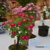 神代植物園にて１