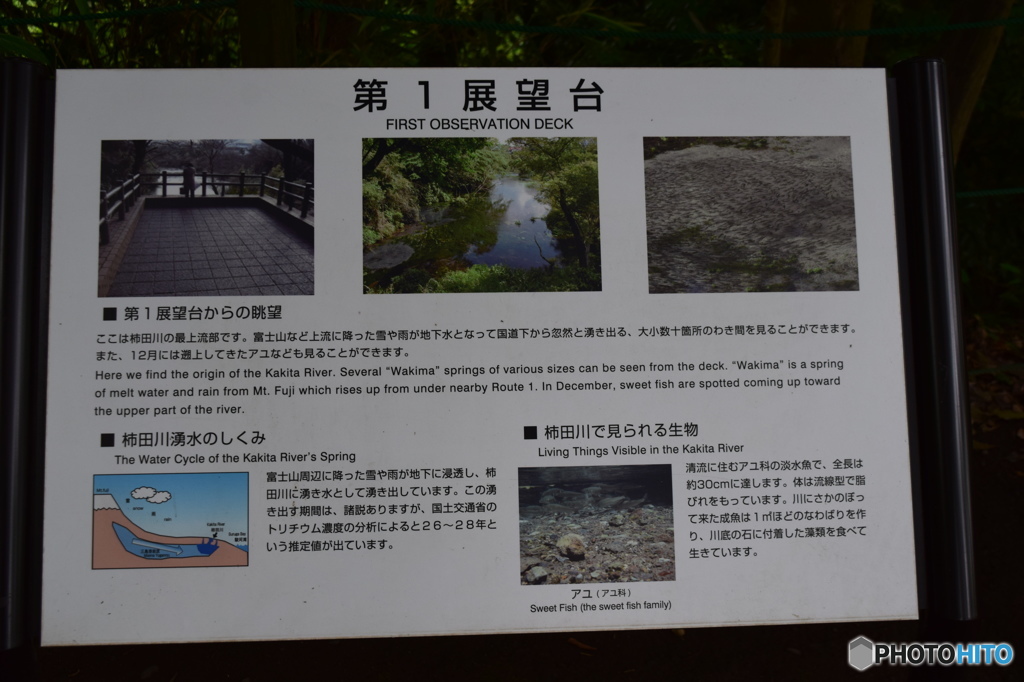 柿田川公園（柿田川湧水群）静岡県清水町　第一展望台案内板