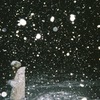 ちとちと　（写ルンです）