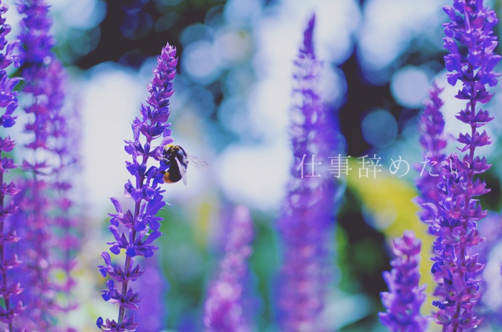 アフタヌーンティー