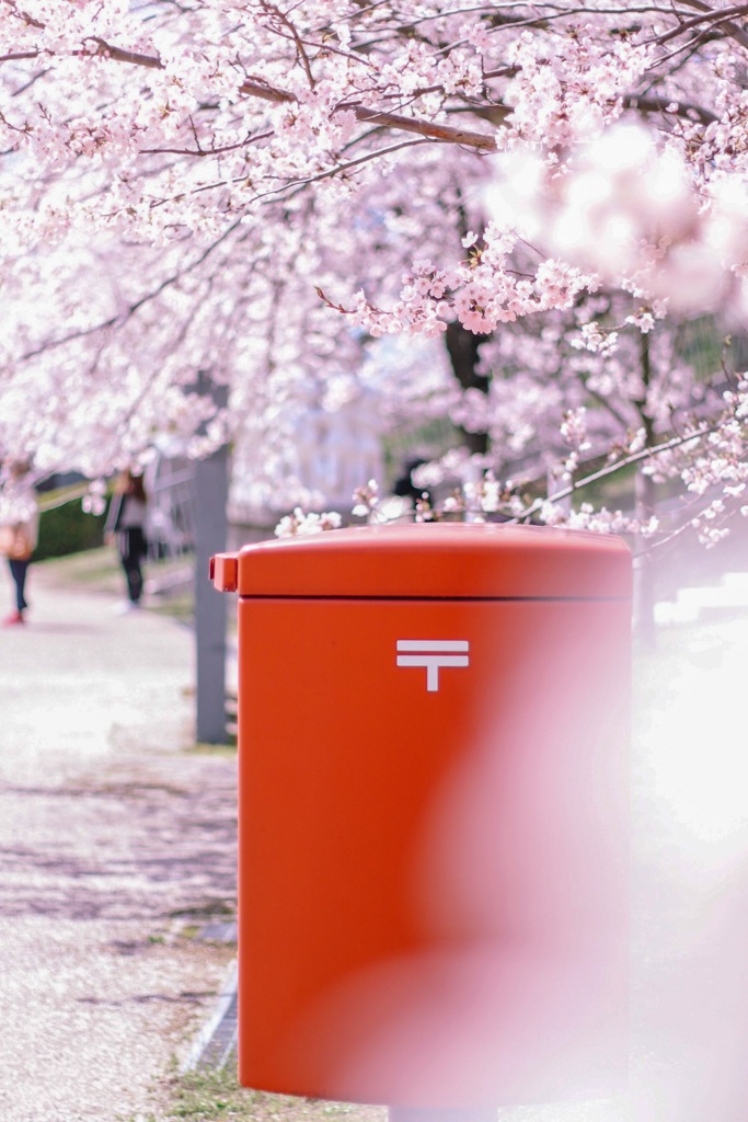 春のおとどけ