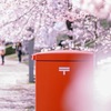 春のおとどけ