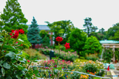 横浜山手西洋館スナップ4