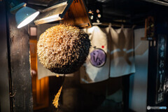 神楽坂の裏路地17