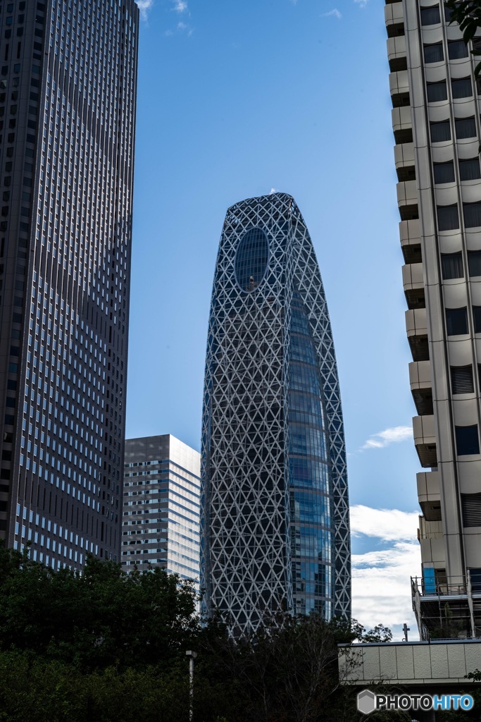 新宿　高層ビル7