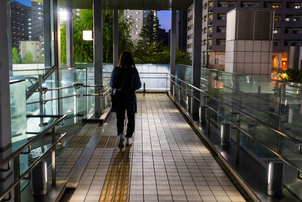 夜の天王洲アイル2