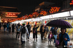 夜の散歩117
