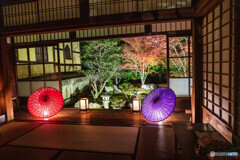 勝林寺(2019年）