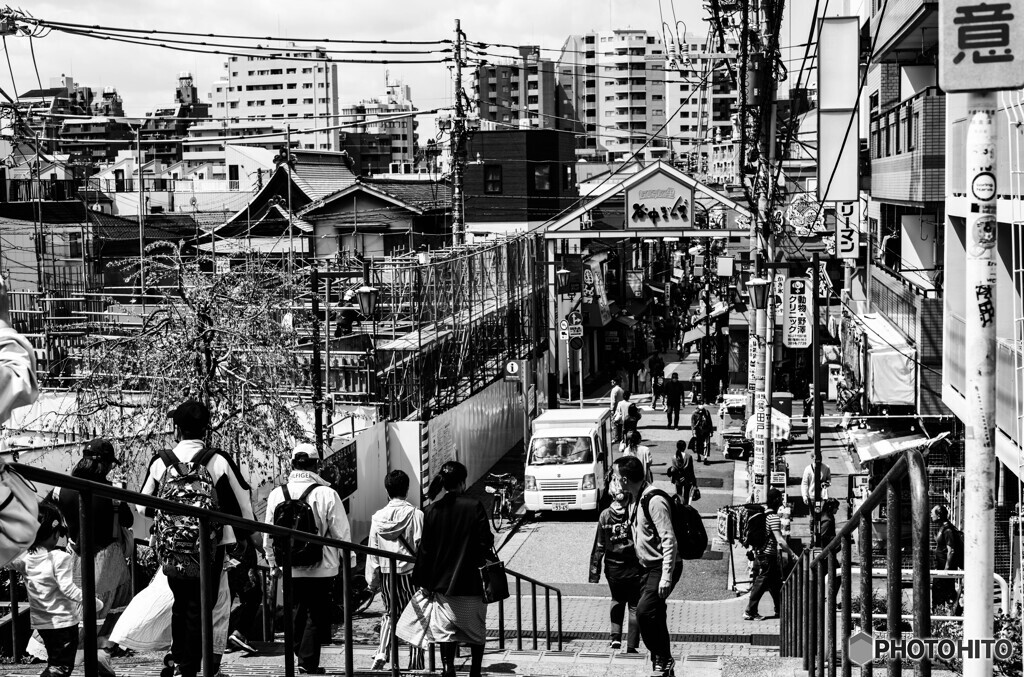 谷根千スナップ13