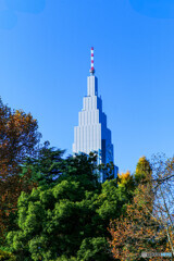 新宿御苑の紅葉3