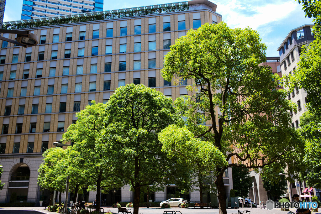 汐留のイタリア街5