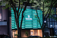 夜の散歩17