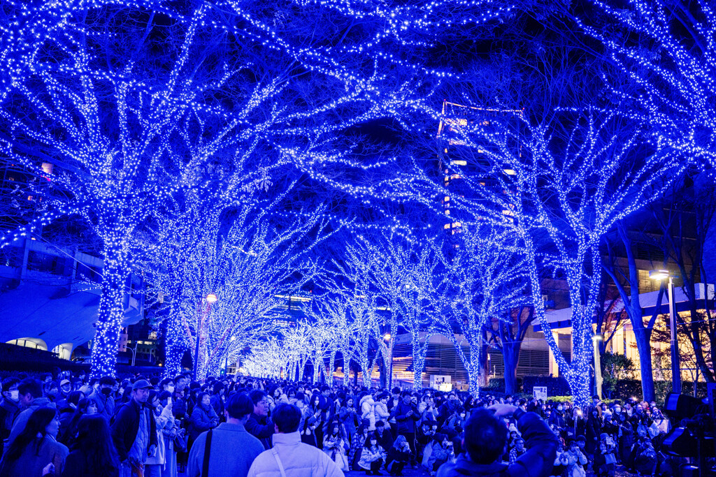 渋谷　青の洞窟16